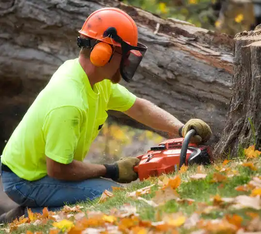 tree services Iowa